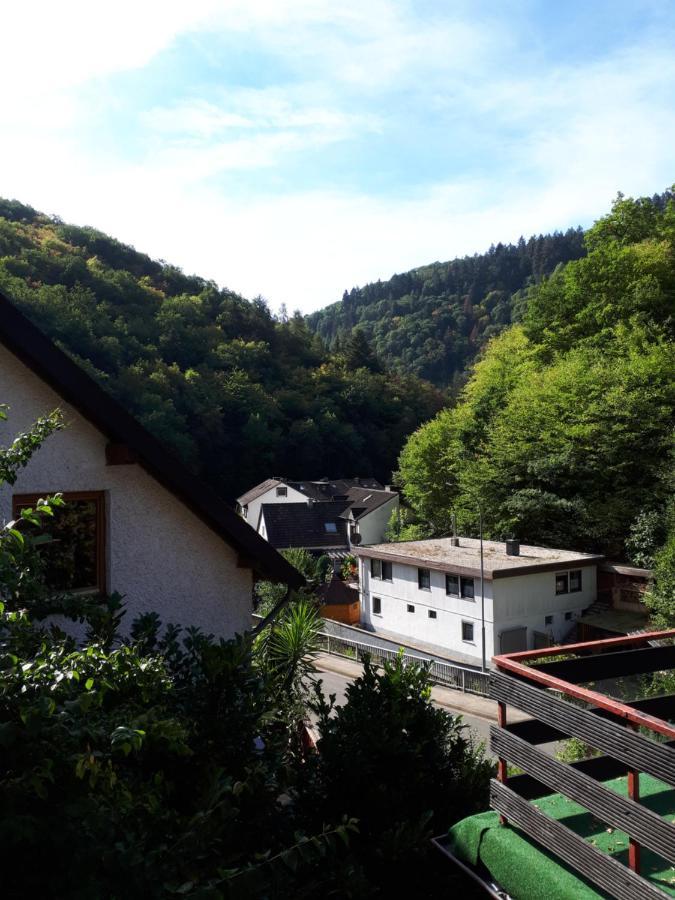 Haus Am Dekernbach Acomodação com café da manhã Cochem Exterior foto